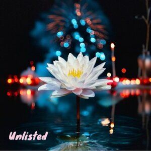 Unlisted NO CANCELLATIONS/NO RETURNS Live Show Listing